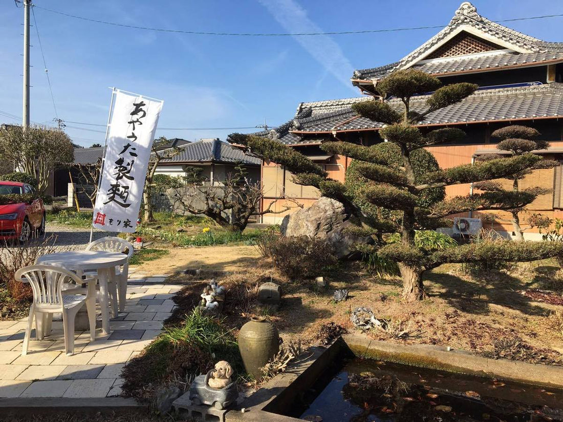 もり家の姉妹店、あやうた製麺